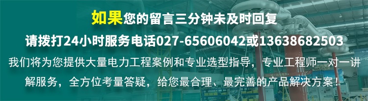 CYQH-31D 便攜式SF6氣體回收裝置（mini) (數(shù)顯無油）